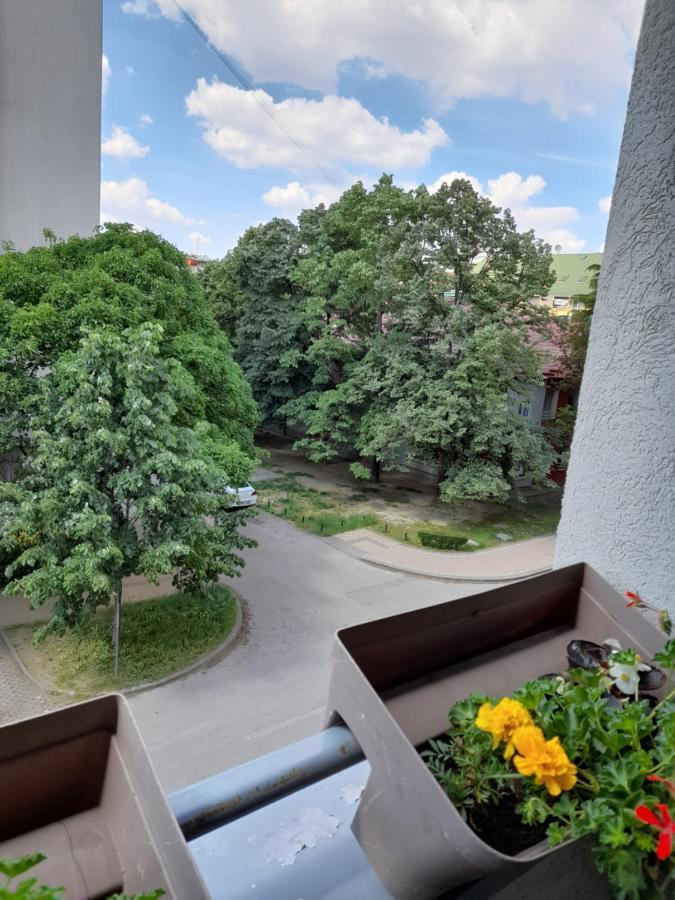 Apartman Aurora Nowy Sad Zewnętrze zdjęcie